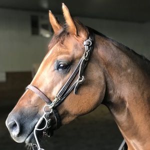 Meet your Posher, Madison